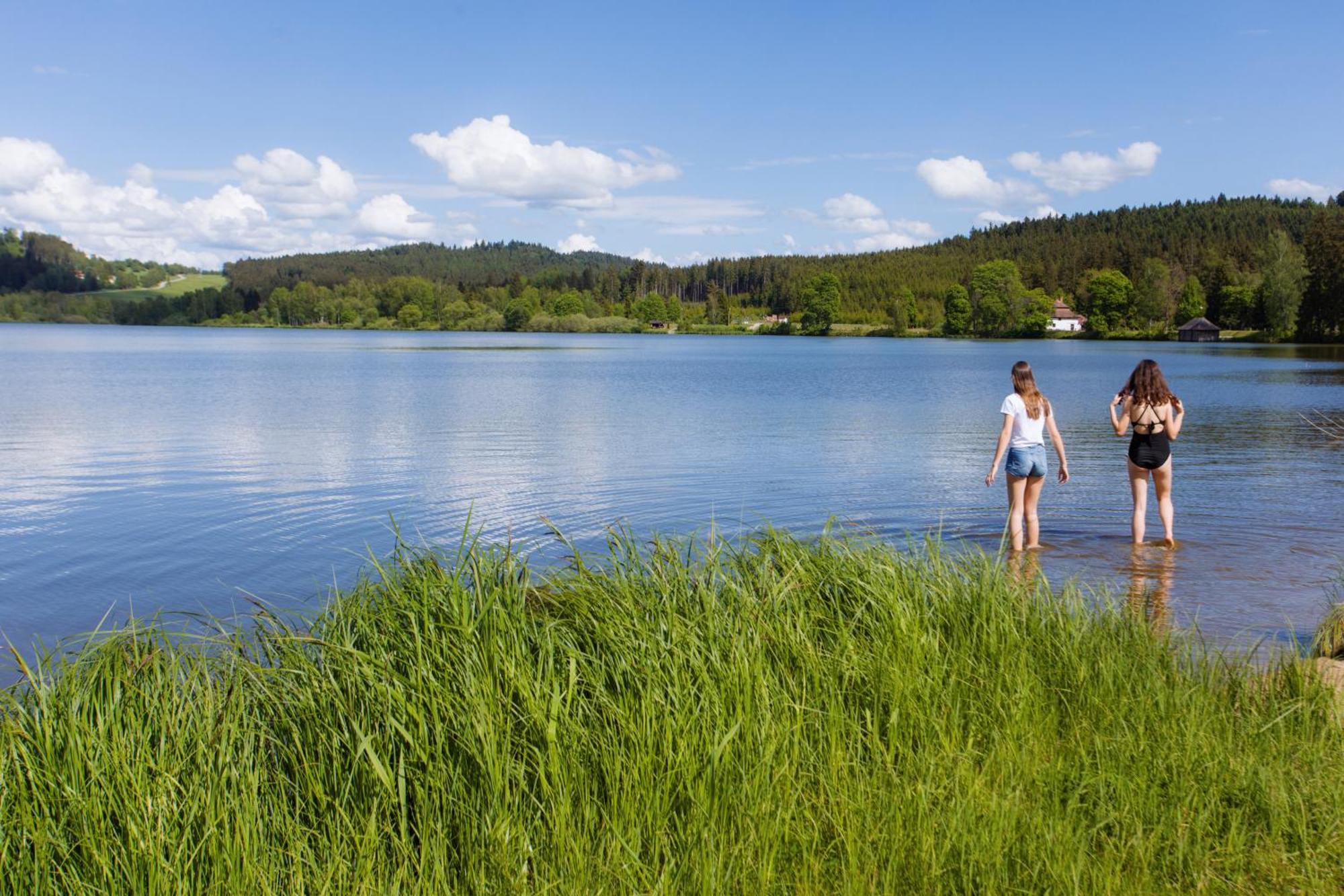 Resort Olsina Horní Planá エクステリア 写真
