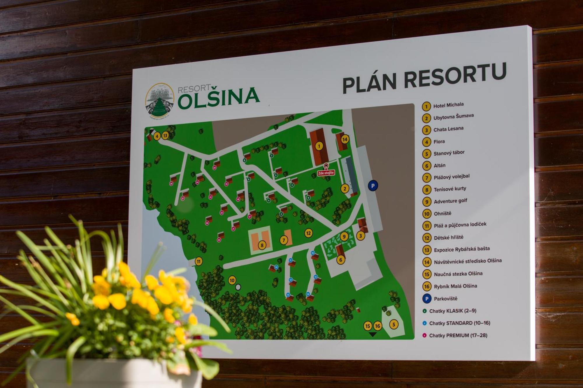 Resort Olsina Horní Planá エクステリア 写真