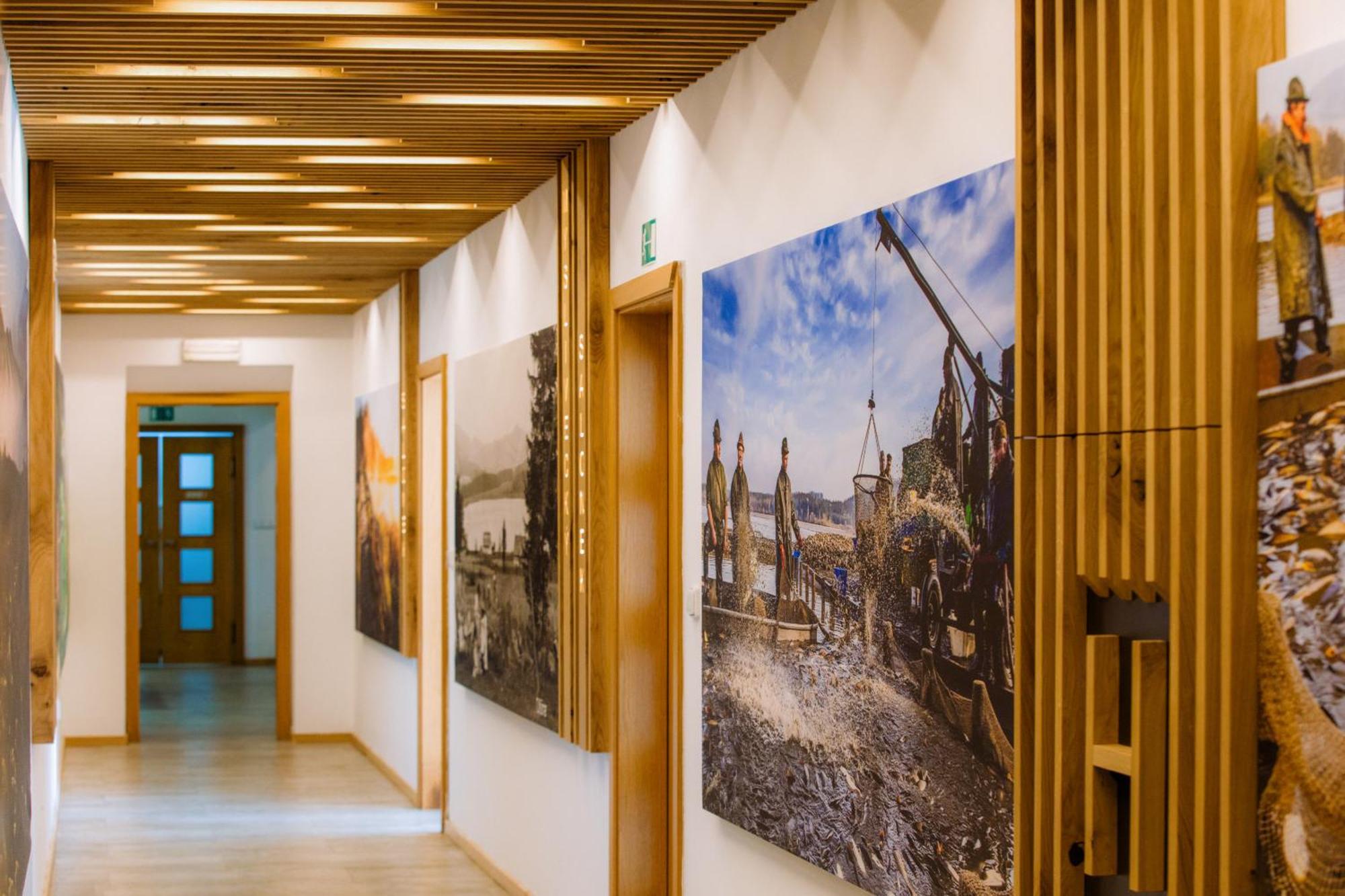 Resort Olsina Horní Planá エクステリア 写真